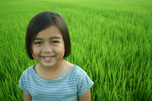 iStock_000004848829Smalls.jpg