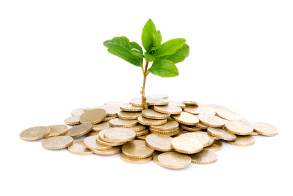 iStock_000008496347XSmall.jpg