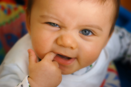 iStock_000008902155XSmall.jpg
