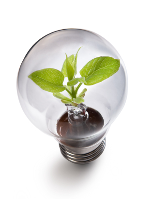 iStock_000009200146XSmall.jpg