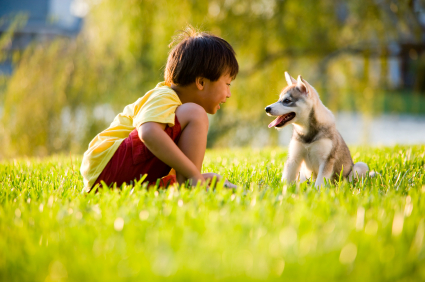 iStock_000011056861XSmall.jpg