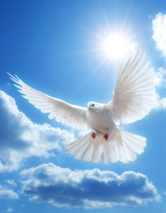 iStock_000011217516.jpg