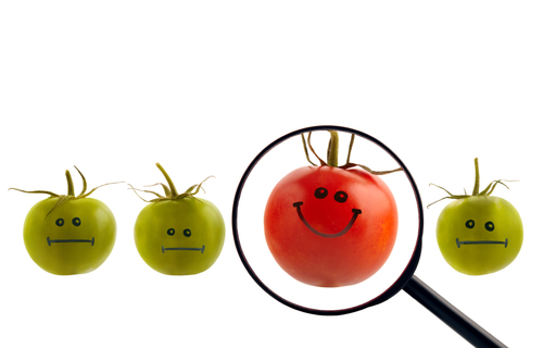 iStock_000018569341Small.jpg